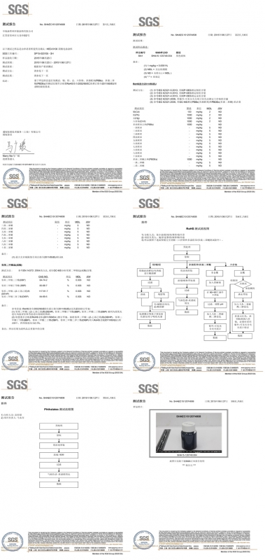 SGS报告