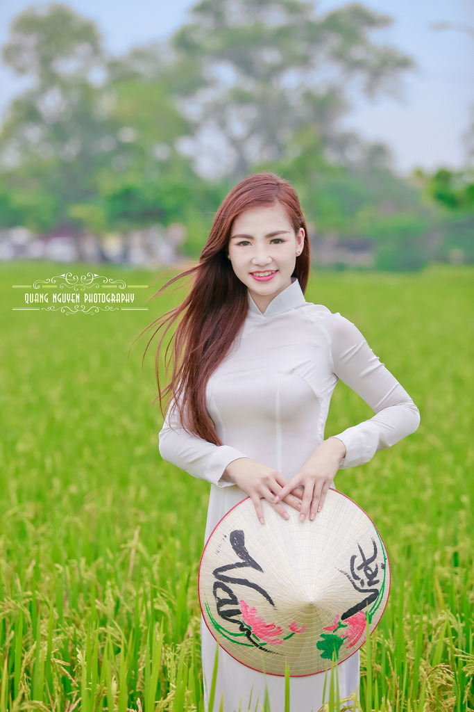 朝桐光在线观看