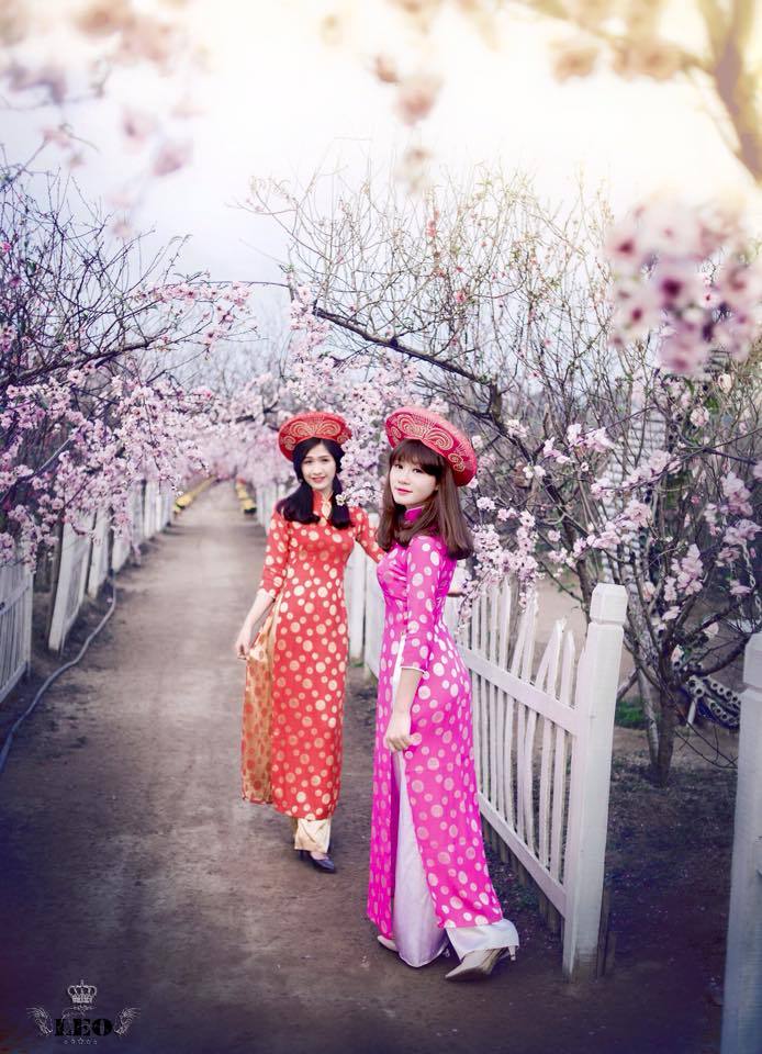 斗罗大陆在线观看免费完整观看210集