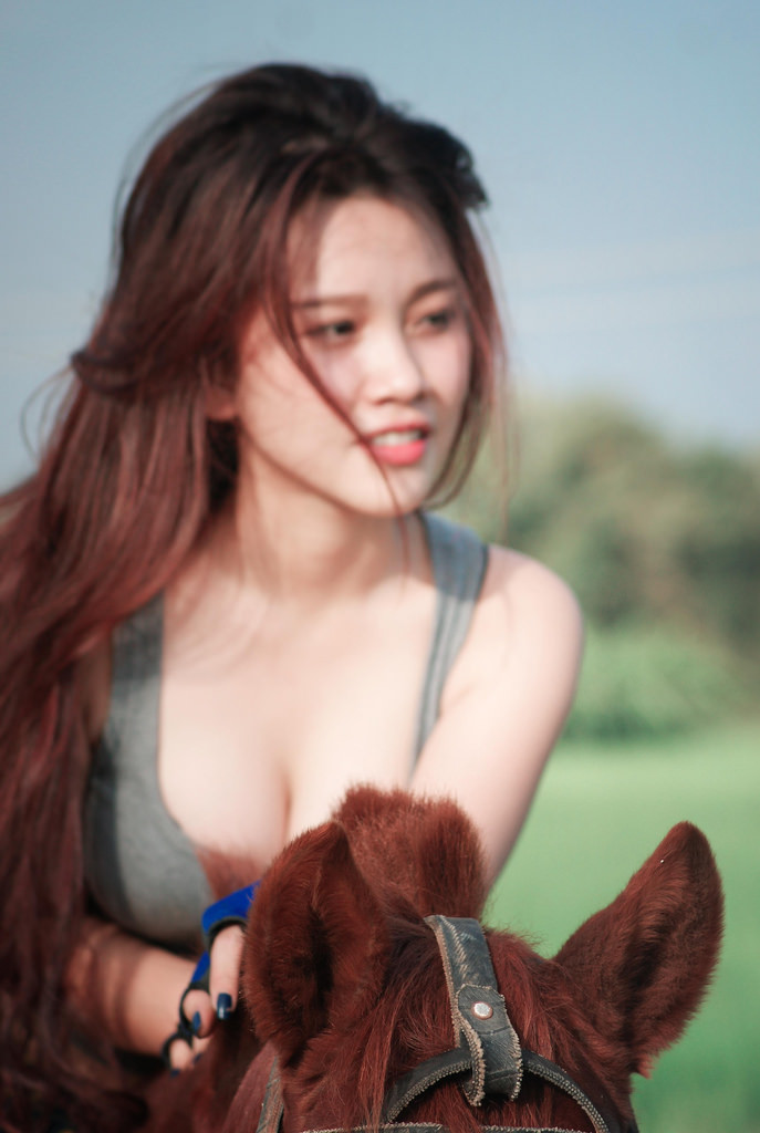 陈情令电视剧在线观看免费完整版