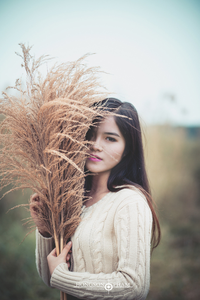 林阳秦墨浓度免费阅读