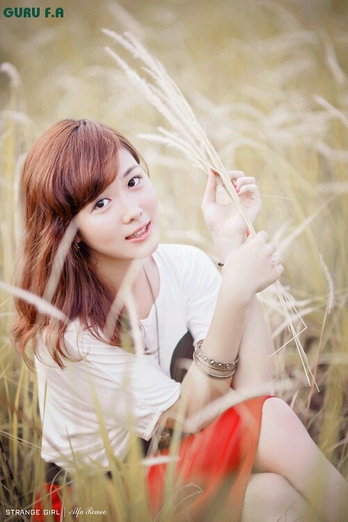 回廊亭免费观看电视剧更新时间