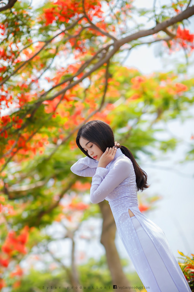 排球少年第一季免费观看