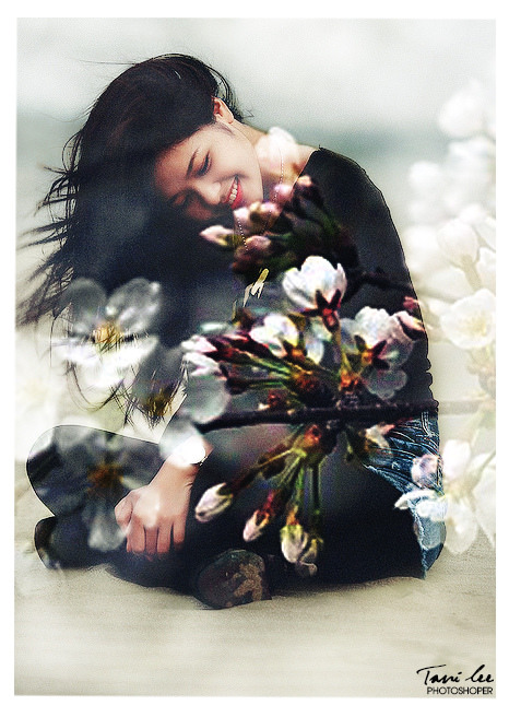 もうそうこうかんにっき中文歌词