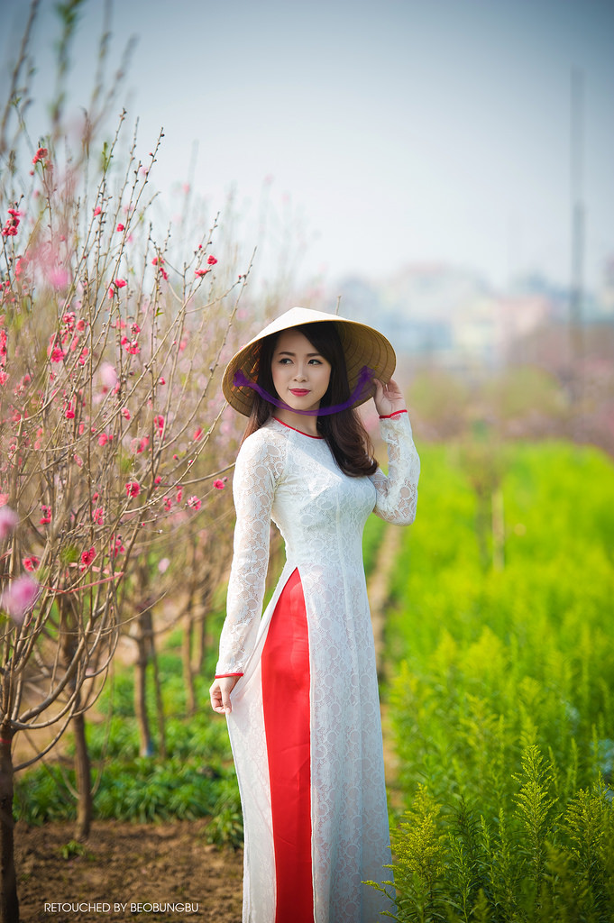 风吹半夏电视剧演员表