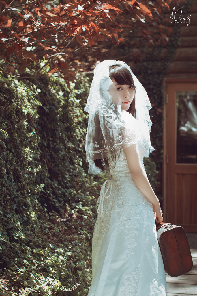 拜托了冰箱轰趴季