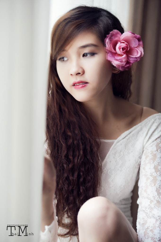 狼群官网在线观看免费视频