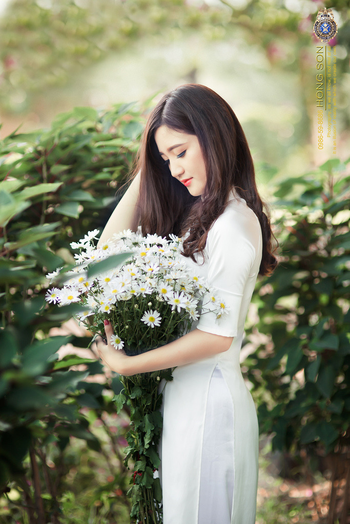 火线传奇第二季完整版在线观看