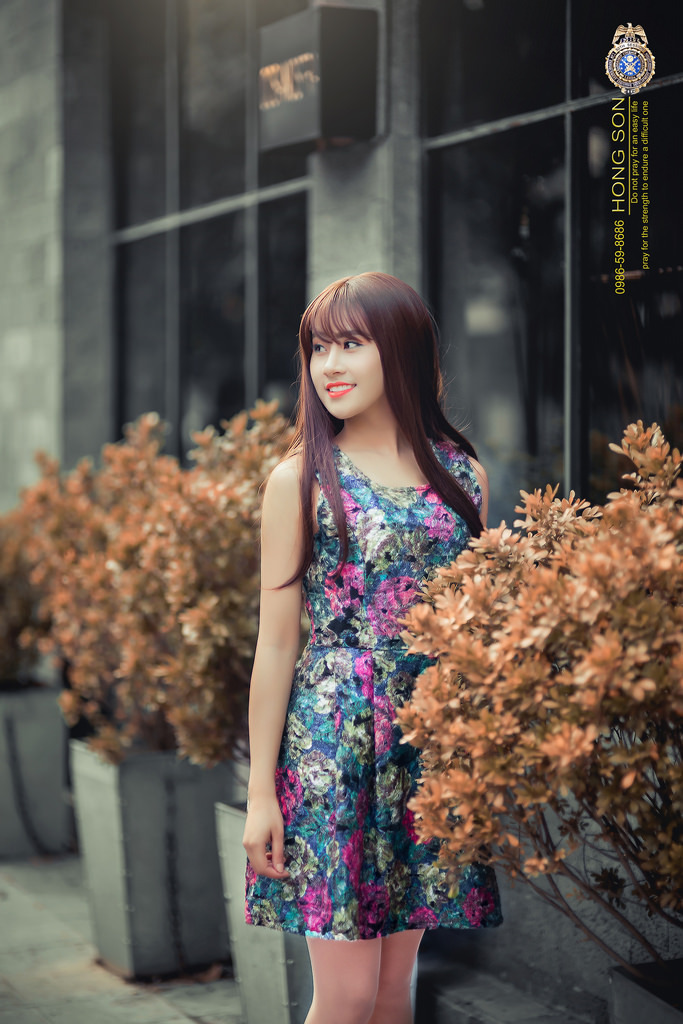 彼得·格里尔的贤者时间