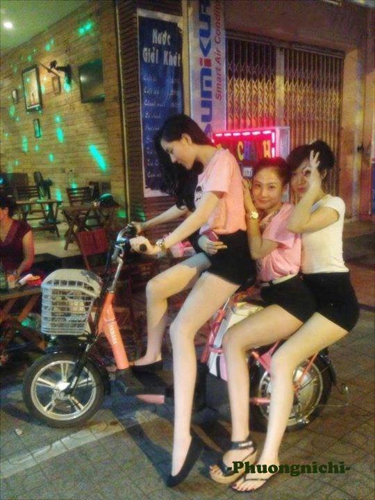 japonensisjava可播放