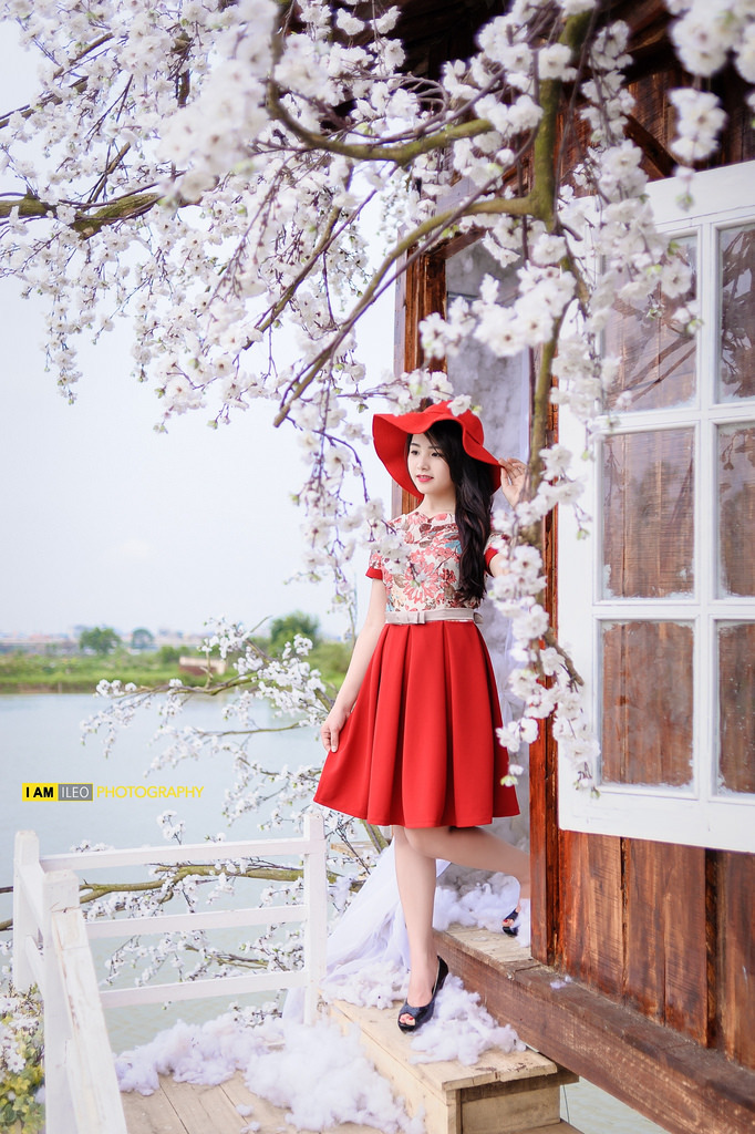 左肩有你电视剧免费观看