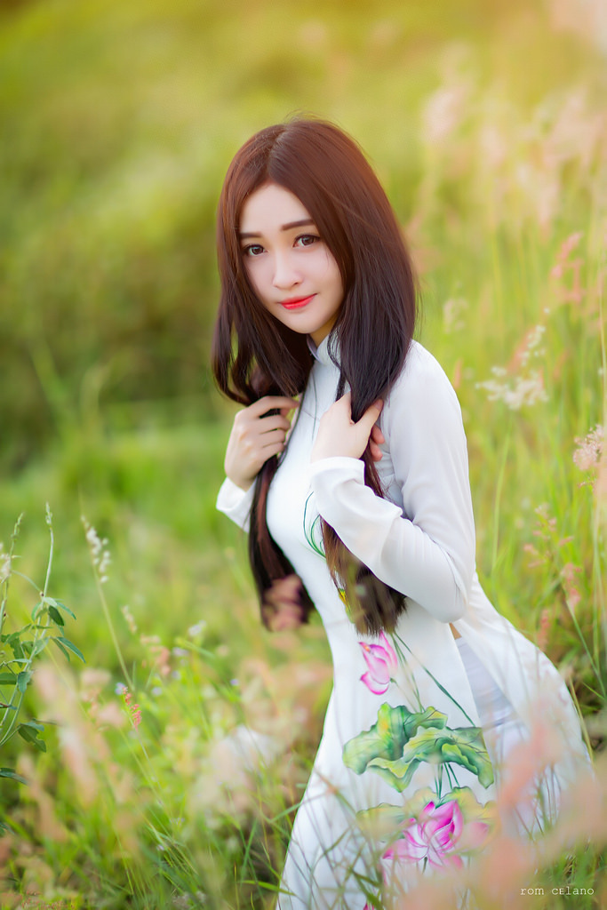 电视剧金粉世家