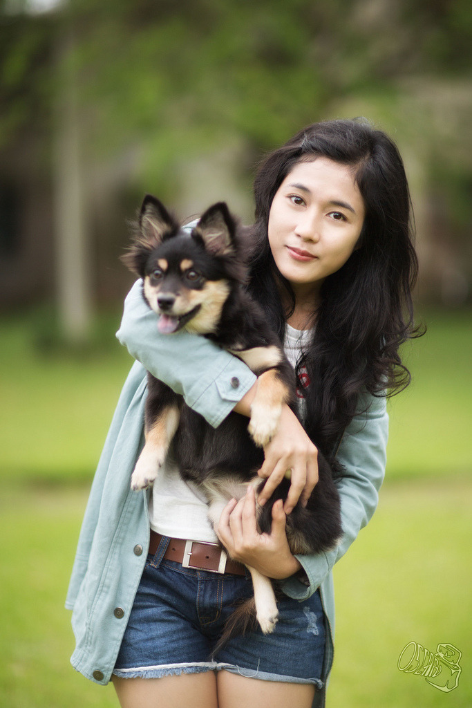 亲情树电视剧全集高清观看