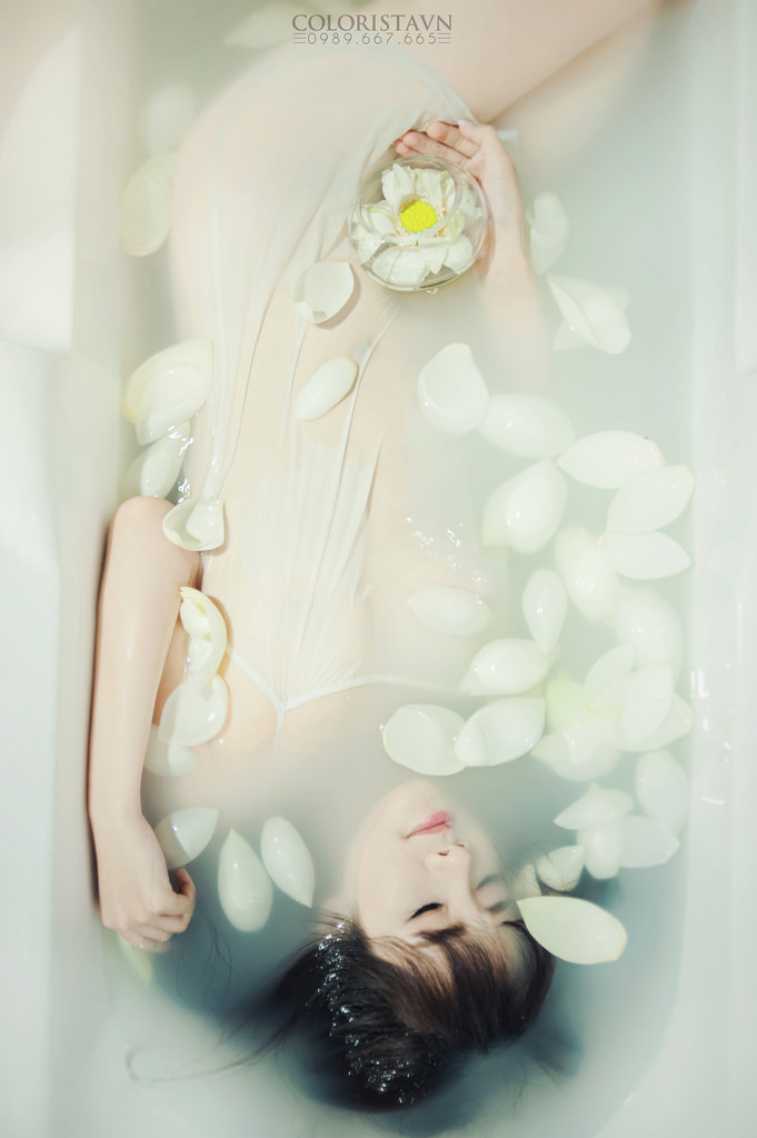 电视剧潜伏全集免费播放完整版