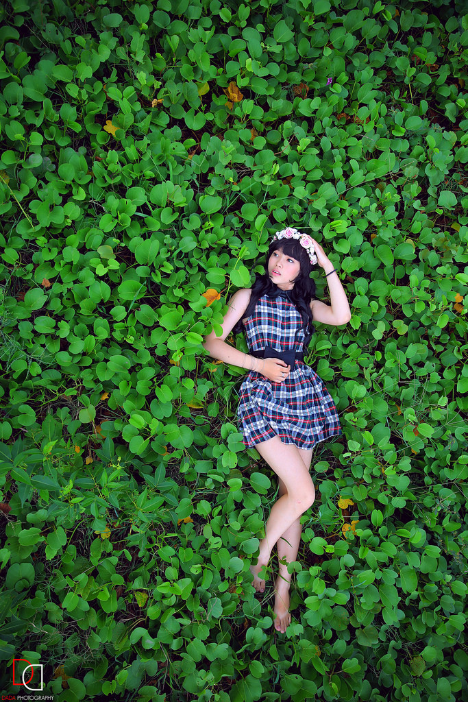 一本二本三本区别高清视频