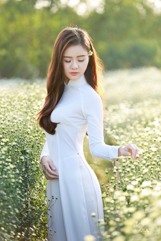 傲骨贤妻第一季