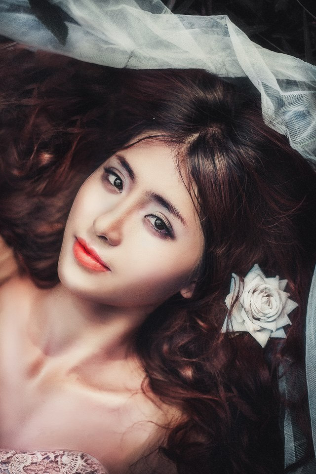 黑暗正能量index.php2024